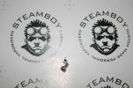 Steamboy Storm Rider Ersatzschrauben Pole 2 Stück (0,50¤/Stück)